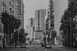 Image du Maroc Professionnelle de  Casablanca Avenue Hassan II, le nouveau quartier d’affaires de Casablanca, où les sièges d'une grande partie des plus importants groupes financiers du pays, banques, assurances, groupes de crédit ont élus domicile loin des encombrements quotidiens du centre-ville, Lundi 6 Juillet 2009. (Photo / Abdeljalil Bounhar) 